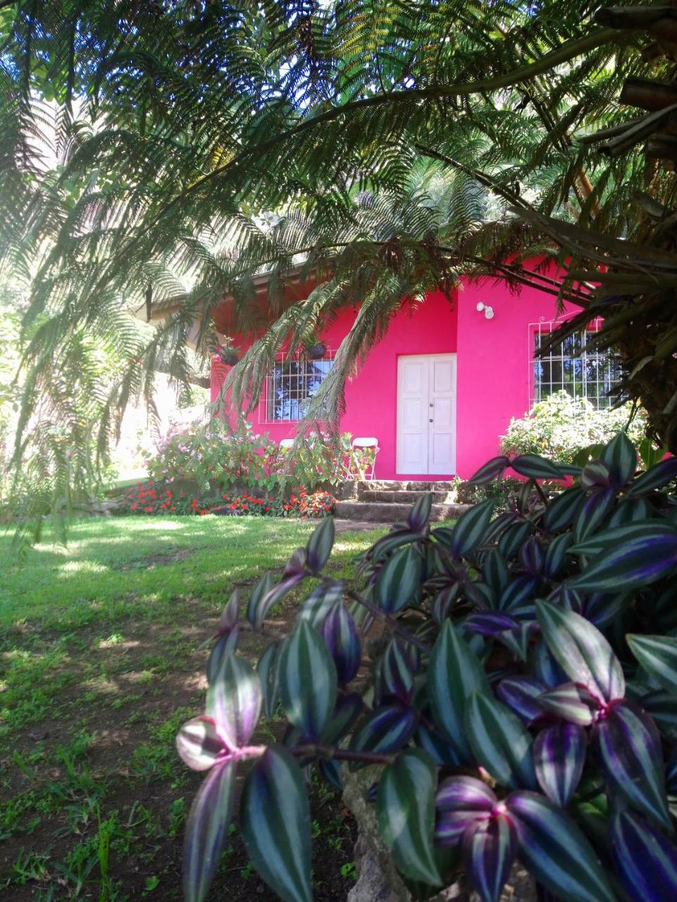 Pink House Hostel San Lucas Toliman Exterior photo