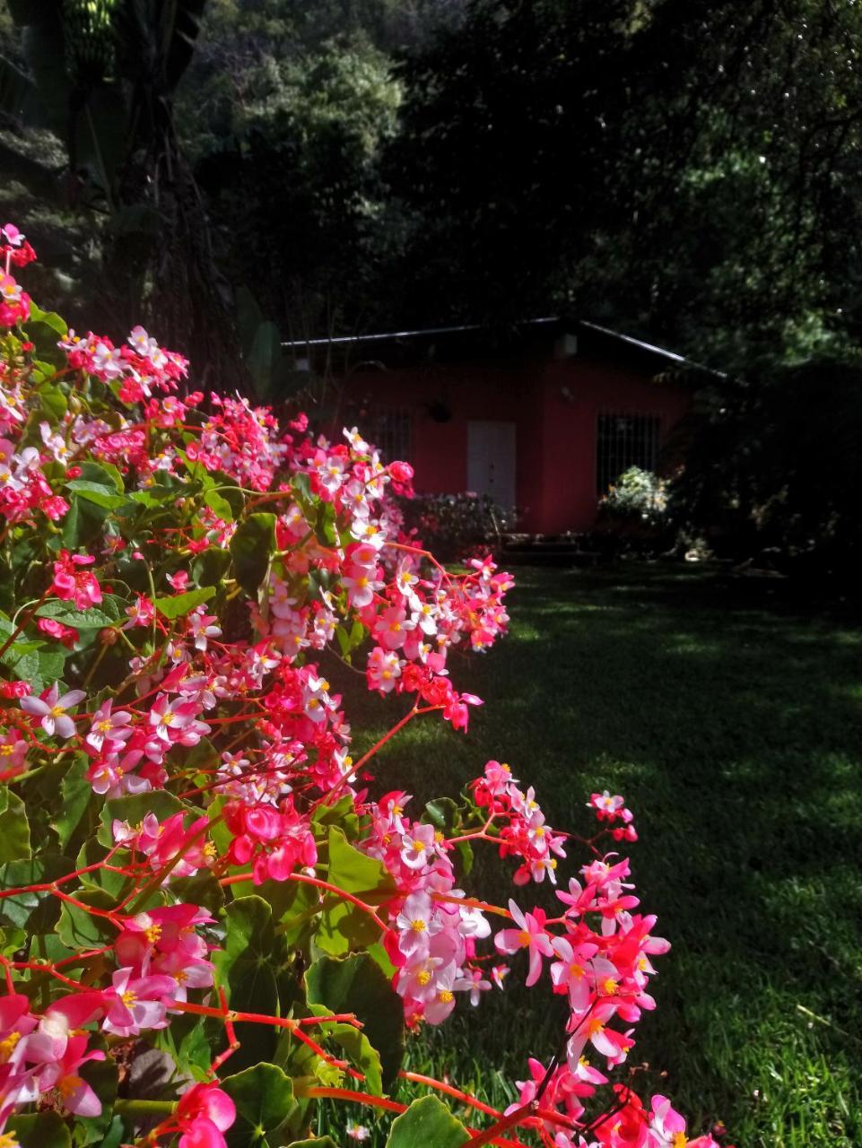 Pink House Hostel San Lucas Toliman Exterior photo